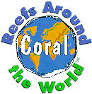 Coral Reefs Around The World