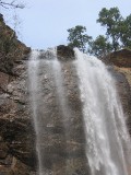 coralsurverynevisfourseasons_017 