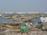 dsc03264 