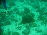 carol_7-4-2005_083 