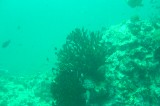 dsc00907 