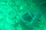 dsc00908 