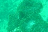dsc00914 