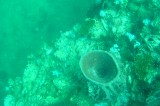 dsc00934 
