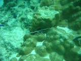 img_0712 