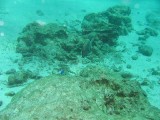 img_0810 