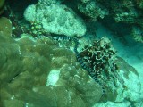 img_0821 