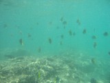 melissapics_032 