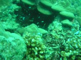 melissapics_096 
