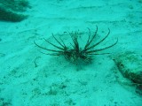melissapics_405 