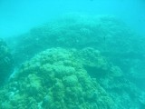melissapics_433 