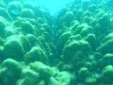 melissapics_475 