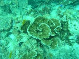 melissapics_486 