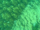 melissapics_640 