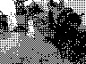 lr_mvc531f_jpg 