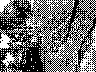 lr_mvc535f_jpg 