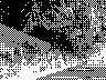 lr_mvc539f_jpg 