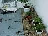 tn_mvc530f_jpg 