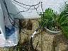 tn_mvc532f_jpg 