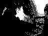 lr_mvc372f_jpg 
