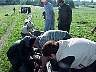 tn_mvc442f_jpg 